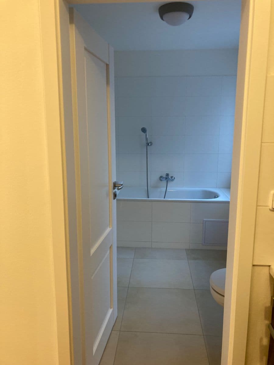 2 bedroom with open-plan kitchen flat to rent, 63 m², Pod Altánem, Prague, Prague 2 bedroom with open-plan kitchen flat to rent, 63 m², Pod Altánem, Prague, Prague