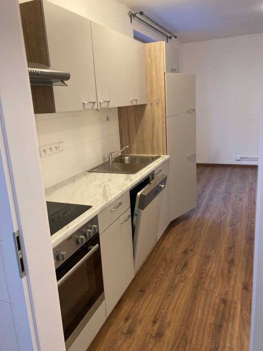 2 bedroom with open-plan kitchen flat to rent, 63 m², Pod Altánem, Prague, Prague 2 bedroom with open-plan kitchen flat to rent, 63 m², Pod Altánem, Prague, Prague