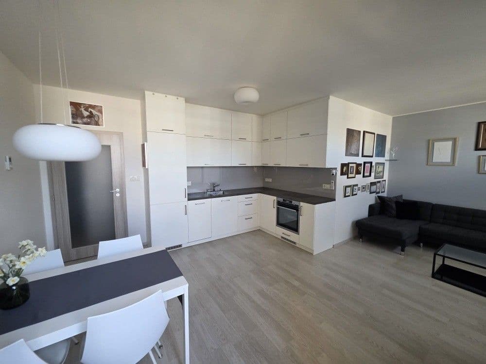 1 bedroom with open-plan kitchen flat for sale, 56 m², Oty Bubeníčka, Prague, Prague 1 bedroom with open-plan kitchen flat for sale, 56 m², Oty Bubeníčka, Prague, Prague