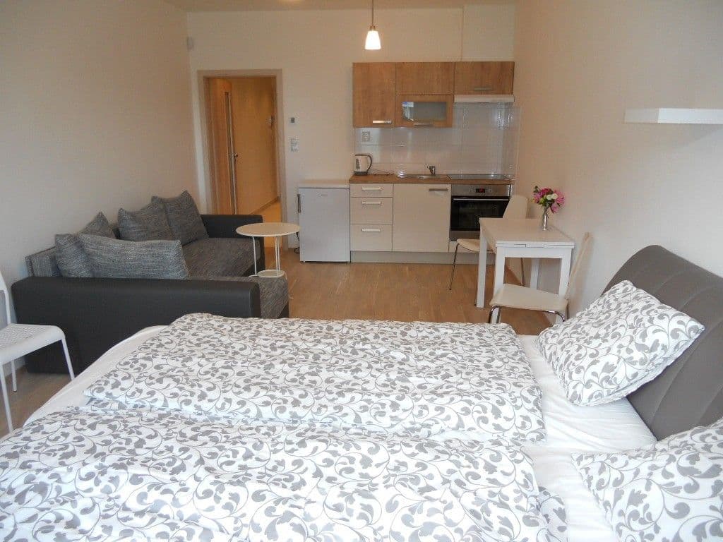 Small studio flat for sale, 36 m², Olšanská, Prague, Prague Small studio flat for sale, 36 m², Olšanská, Prague, Prague