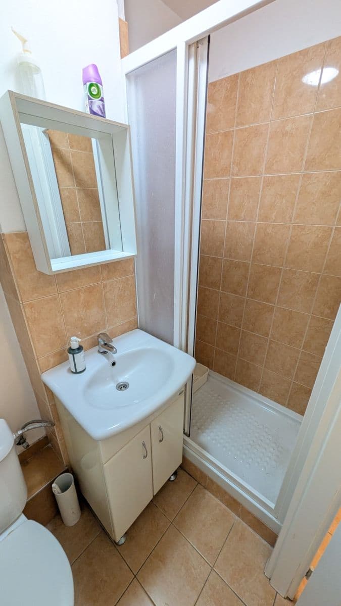 1 bedroom flat to rent, 36 m², Žerotínova, Prague, Prague 1 bedroom flat to rent, 36 m², Žerotínova, Prague, Prague