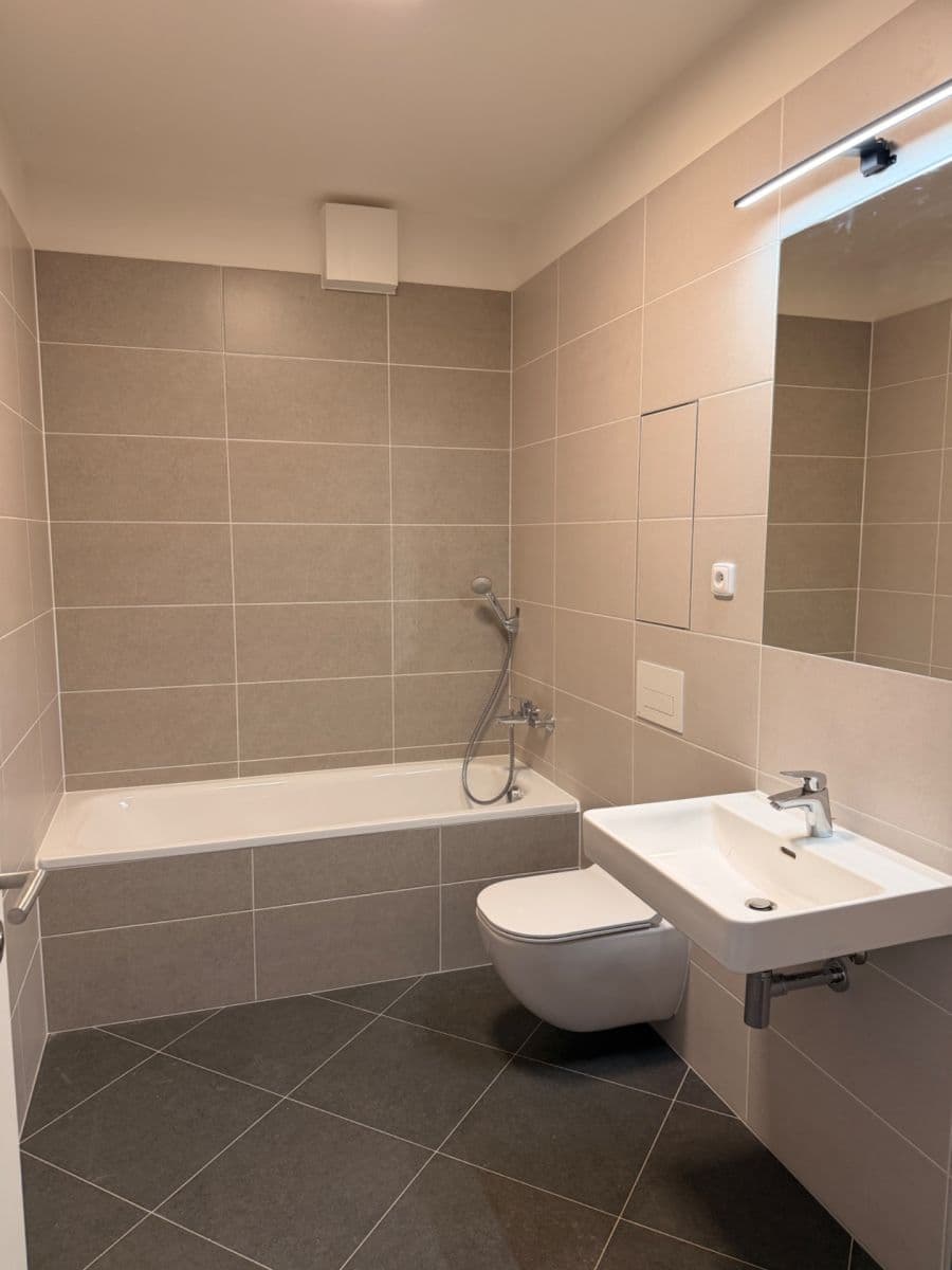 1 bedroom with open-plan kitchen flat to rent, 45 m², Pod Harfou, Prague, Prague 1 bedroom with open-plan kitchen flat to rent, 45 m², Pod Harfou, Prague, Prague