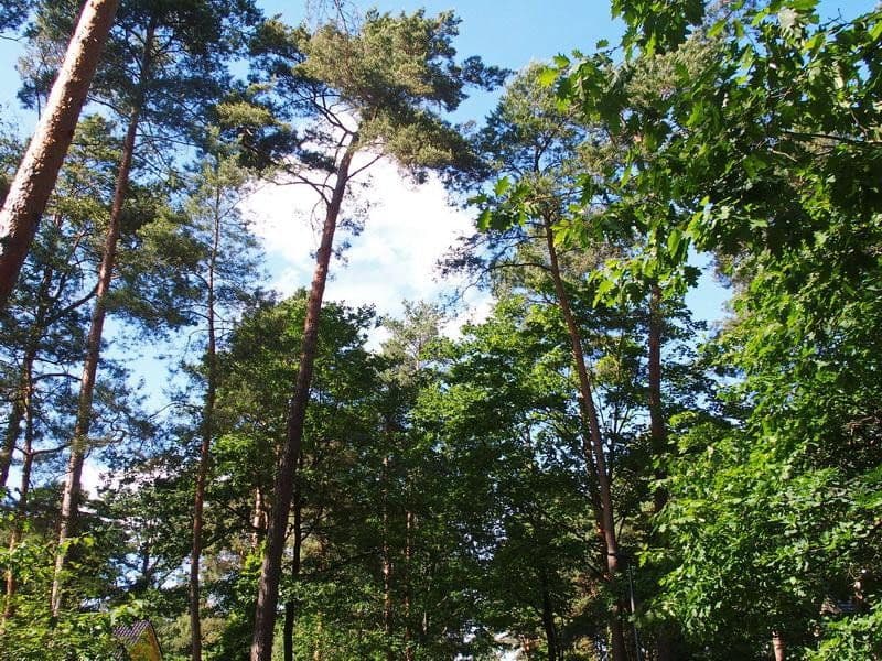 plot for sale, 1,073 m², Mühlenbecker Land, Brandenburg plot for sale, 1,073 m², Mühlenbecker Land, Brandenburg