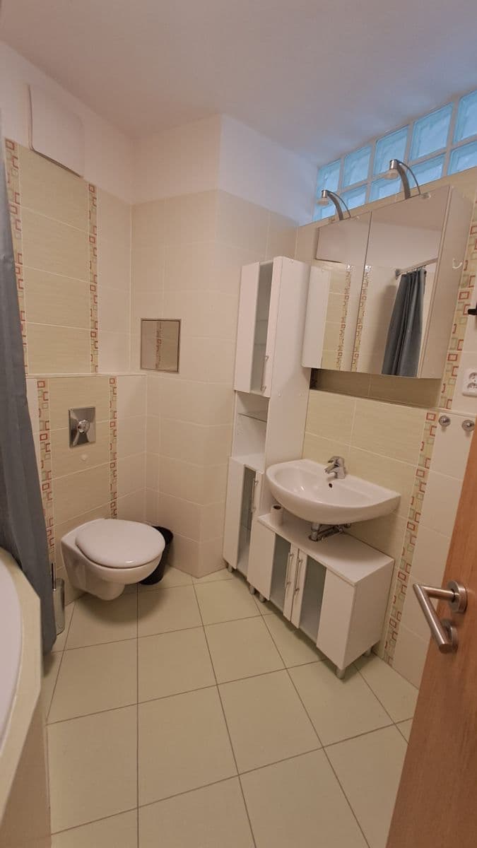 1 bedroom with open-plan kitchen flat to rent, 59 m², Milotická, Prague, Prague 1 bedroom with open-plan kitchen flat to rent, 59 m², Milotická, Prague, Prague