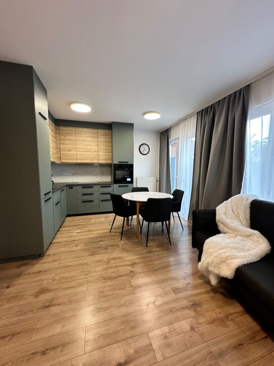 1 bedroom with open-plan kitchen flat to rent, 45 m², Pečárková, Prague, Prague 1 bedroom with open-plan kitchen flat to rent, 45 m², Pečárková, Prague, Prague