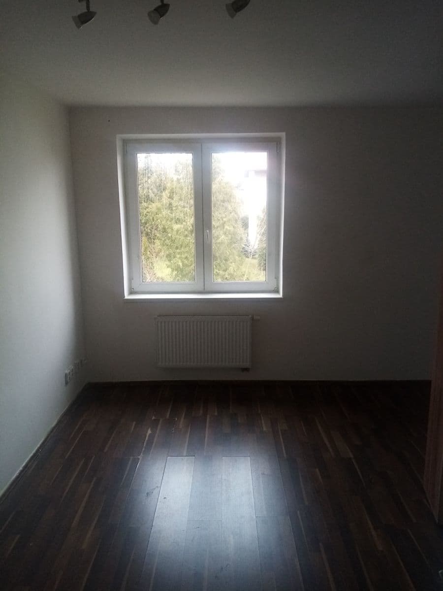 1 bedroom with open-plan kitchen flat to rent, 46 m², Jasná II, Prague, Prague 1 bedroom with open-plan kitchen flat to rent, 46 m², Jasná II, Prague, Prague