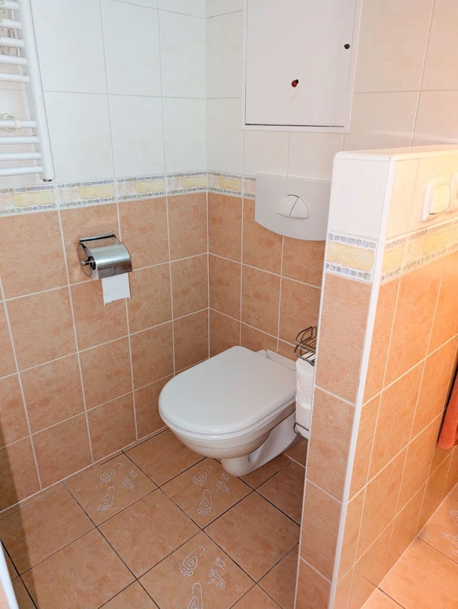 2 bedroom with open-plan kitchen flat to rent, 79 m², Voskovcova, Prague, Prague 2 bedroom with open-plan kitchen flat to rent, 79 m², Voskovcova, Prague, Prague