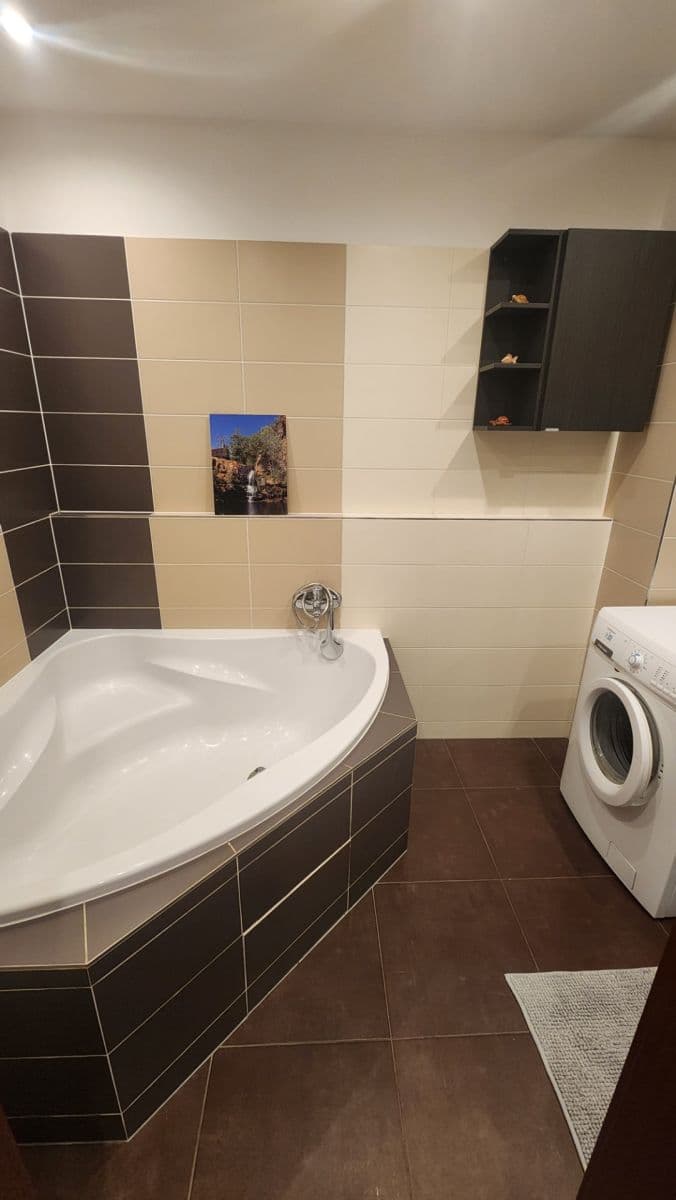 1 bedroom with open-plan kitchen flat to rent, 51 m², Loosova, Prague, Prague 1 bedroom with open-plan kitchen flat to rent, 51 m², Loosova, Prague, Prague