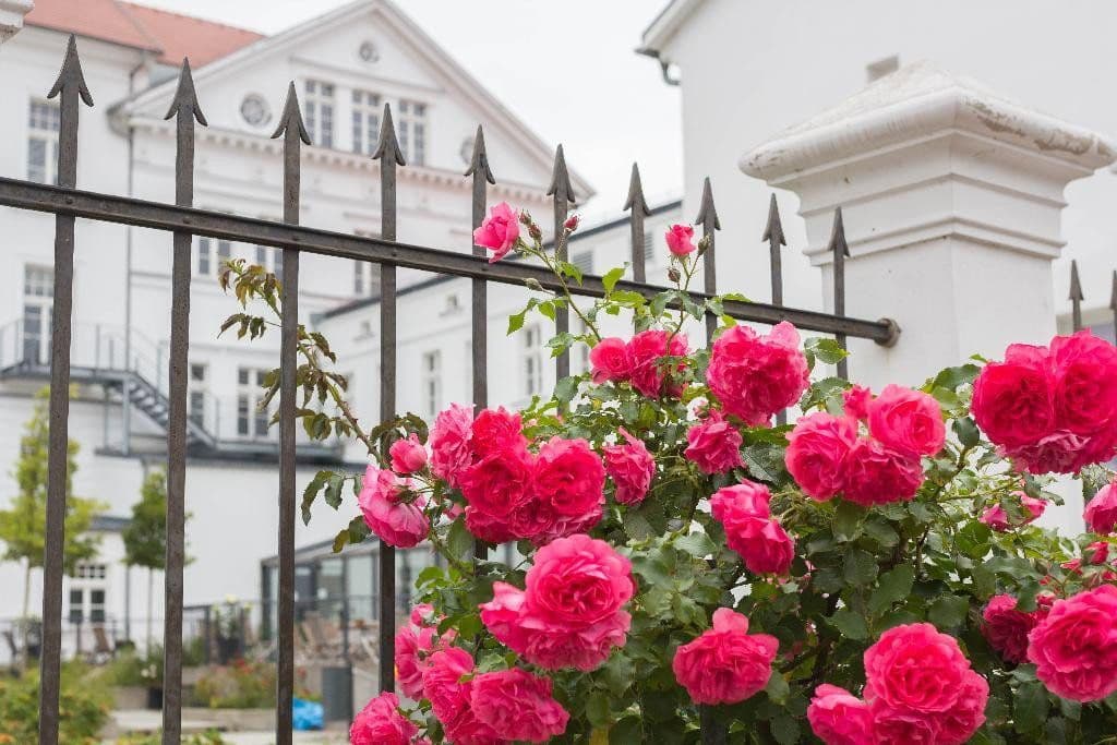 office to rent, 250 m², Putbus, Mecklenburg-Vorpommern office to rent, 250 m², Putbus, Mecklenburg-Vorpommern
