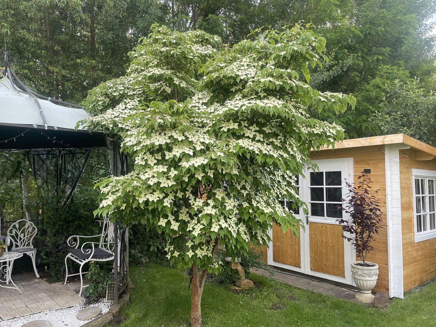 house to rent, 130 m², Potsdam, Brandenburg house to rent, 130 m², Potsdam, Brandenburg