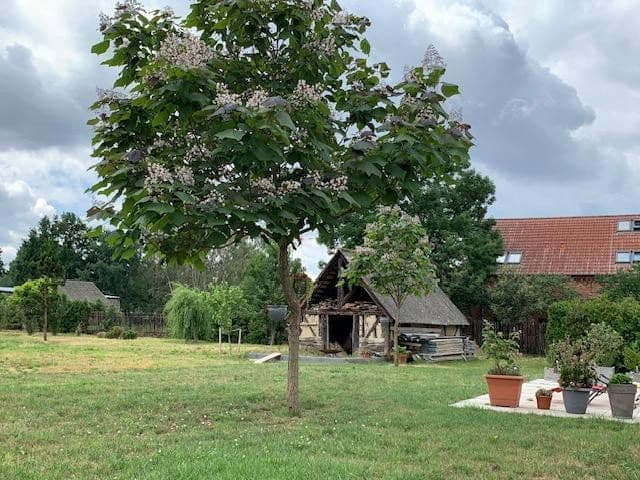 house for sale, 900 m², Luckau, Brandenburg house for sale, 900 m², Luckau, Brandenburg