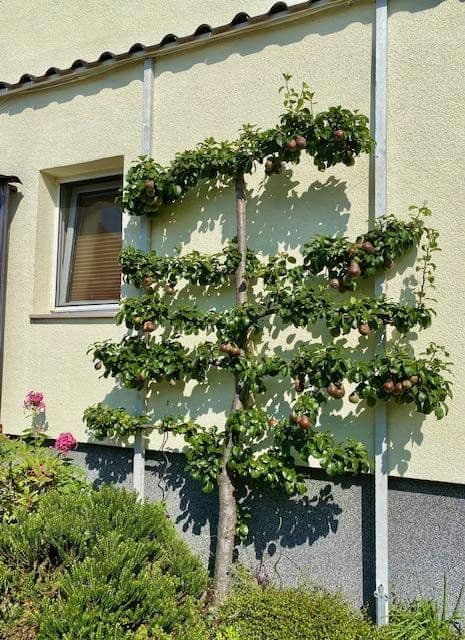 house for sale, 900 m², Luckau, Brandenburg house for sale, 900 m², Luckau, Brandenburg