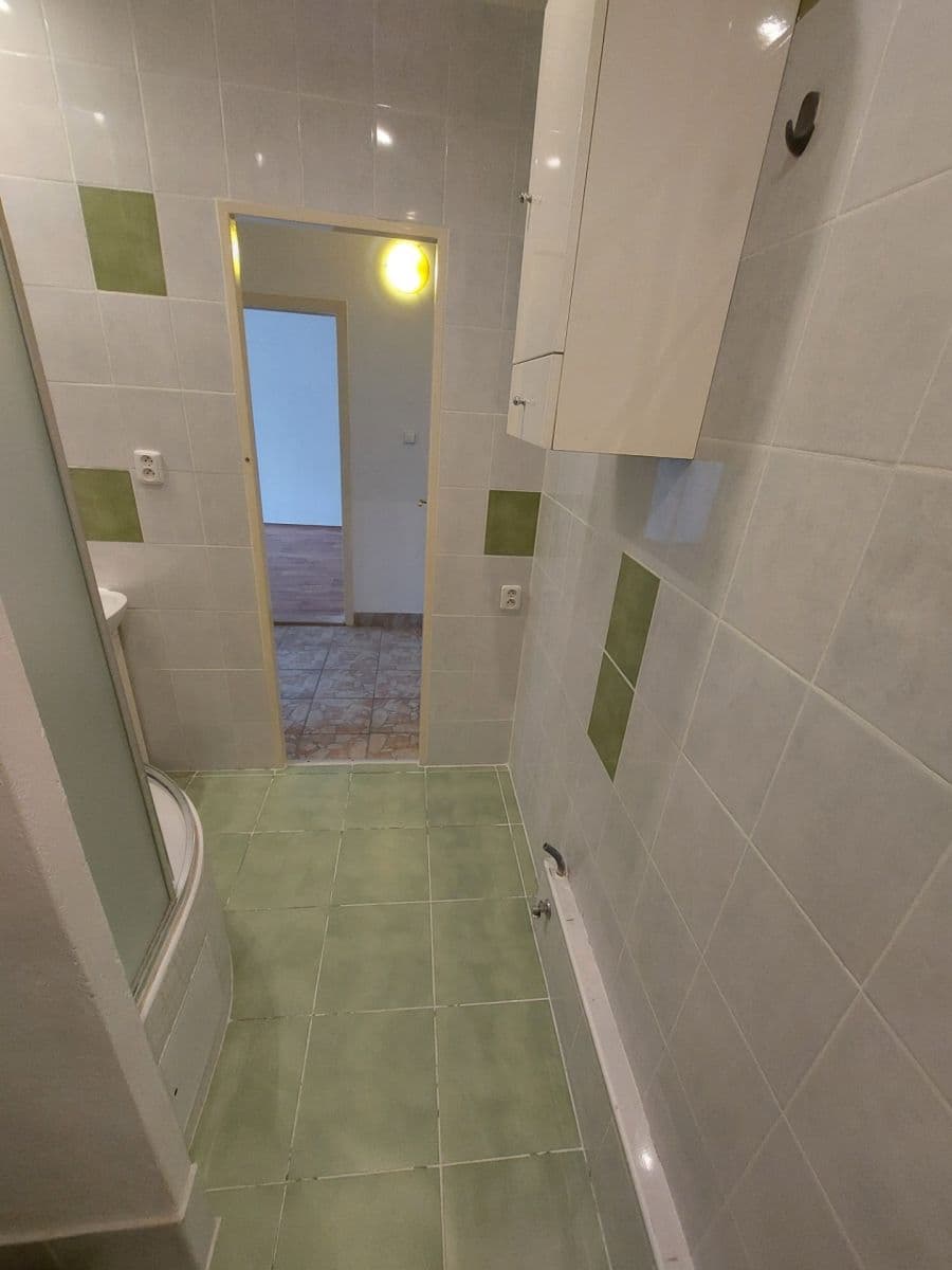 1 bedroom with open-plan kitchen flat to rent, 40 m², F. L. Čelakovského, Jablonec nad Nisou, Liberecký Region 1 bedroom with open-plan kitchen flat to rent, 40 m², F. L. Čelakovského, Jablonec nad Nisou, Liberecký Region