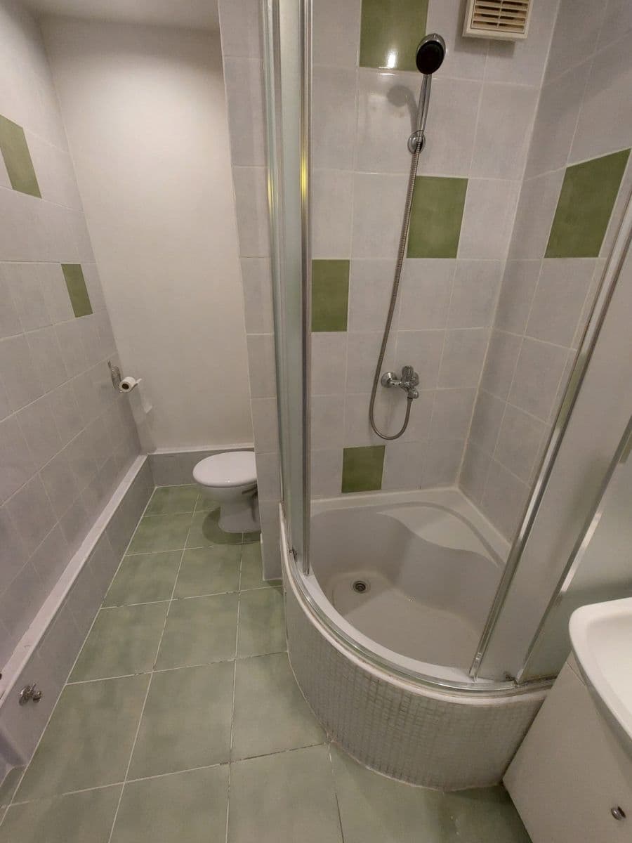 1 bedroom with open-plan kitchen flat to rent, 40 m², F. L. Čelakovského, Jablonec nad Nisou, Liberecký Region 1 bedroom with open-plan kitchen flat to rent, 40 m², F. L. Čelakovského, Jablonec nad Nisou, Liberecký Region