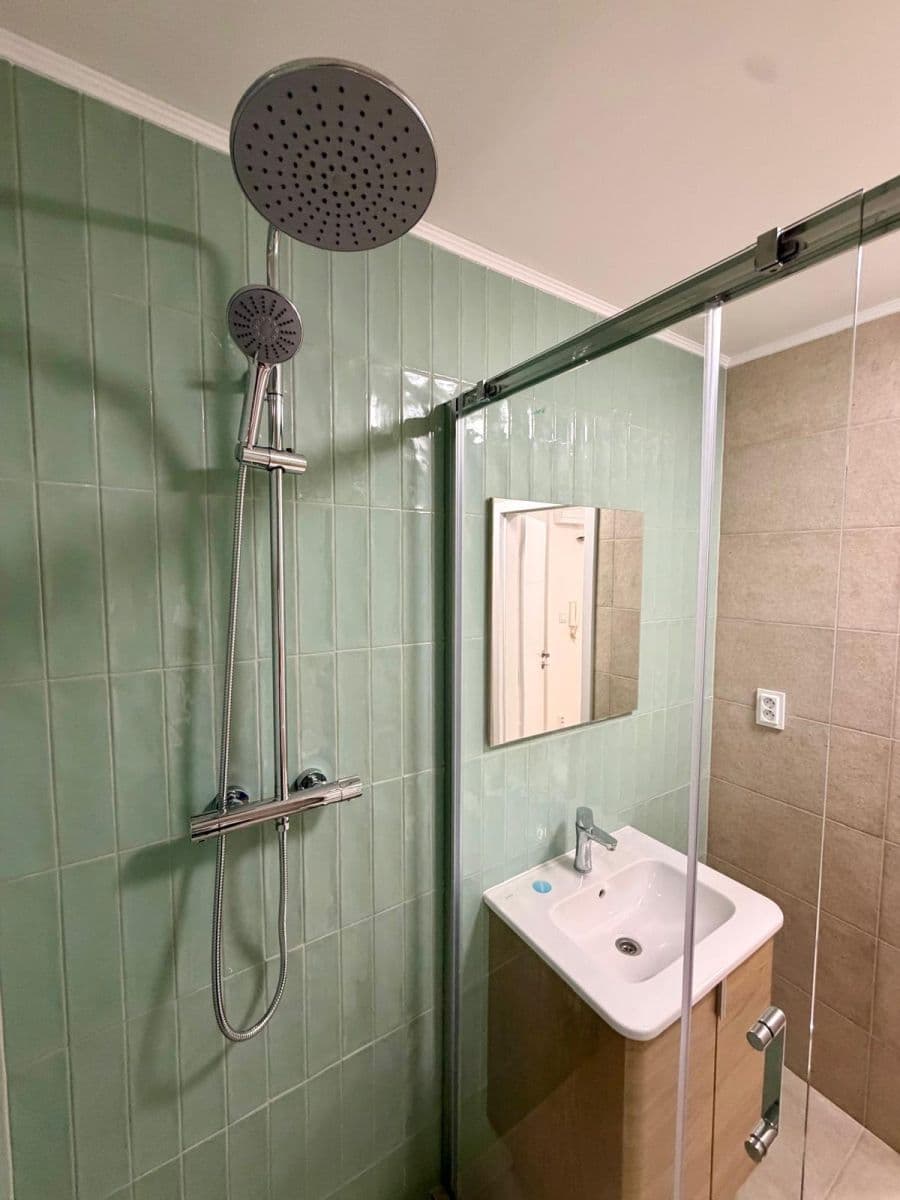 1 bedroom with open-plan kitchen flat to rent, 44 m², Plickova, Prague, Prague 1 bedroom with open-plan kitchen flat to rent, 44 m², Plickova, Prague, Prague