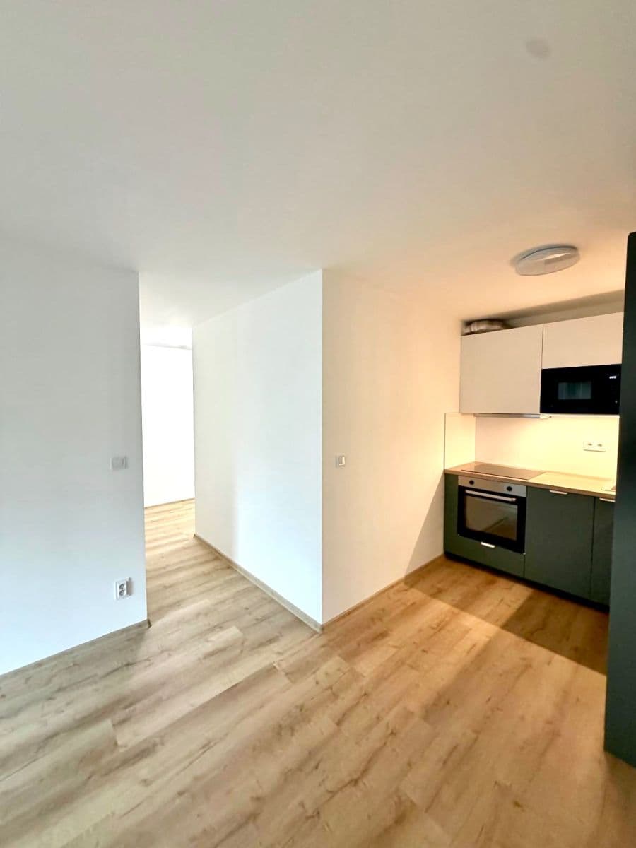 1 bedroom with open-plan kitchen flat to rent, 44 m², Plickova, Prague, Prague 1 bedroom with open-plan kitchen flat to rent, 44 m², Plickova, Prague, Prague