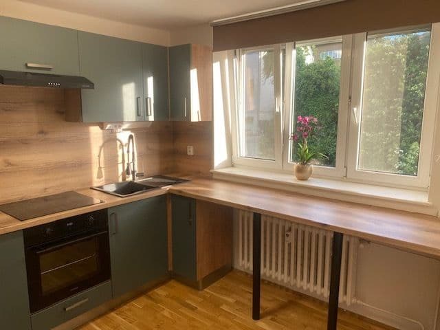 1 bedroom with open-plan kitchen flat to rent, 69 m², Nad Jenerálkou, Prague, Prague 1 bedroom with open-plan kitchen flat to rent, 69 m², Nad Jenerálkou, Prague, Prague