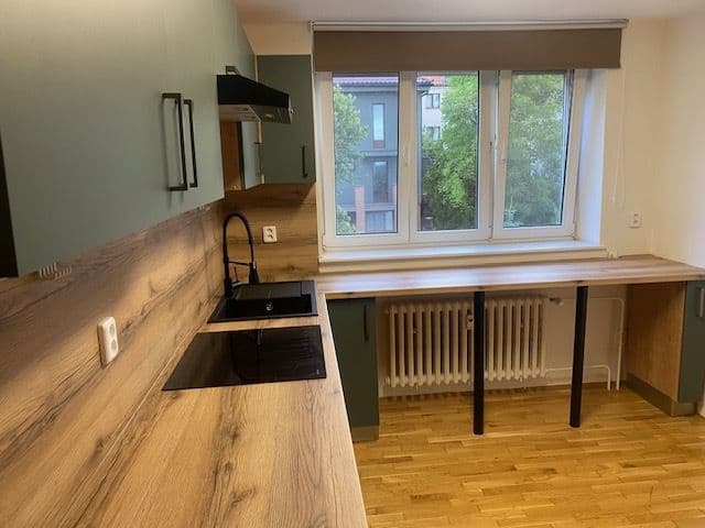 1 bedroom with open-plan kitchen flat to rent, 69 m², Nad Jenerálkou, Prague, Prague 1 bedroom with open-plan kitchen flat to rent, 69 m², Nad Jenerálkou, Prague, Prague
