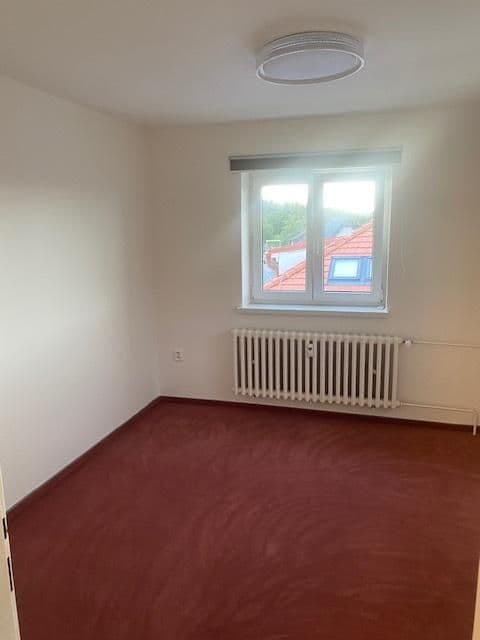 1 bedroom with open-plan kitchen flat to rent, 69 m², Nad Jenerálkou, Prague, Prague 1 bedroom with open-plan kitchen flat to rent, 69 m², Nad Jenerálkou, Prague, Prague