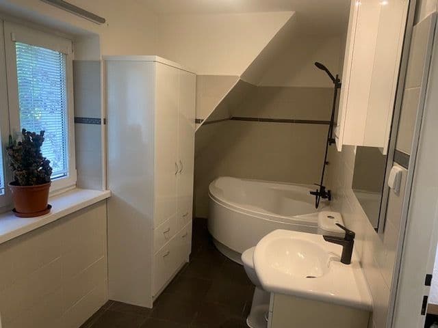 1 bedroom with open-plan kitchen flat to rent, 69 m², Nad Jenerálkou, Prague, Prague 1 bedroom with open-plan kitchen flat to rent, 69 m², Nad Jenerálkou, Prague, Prague