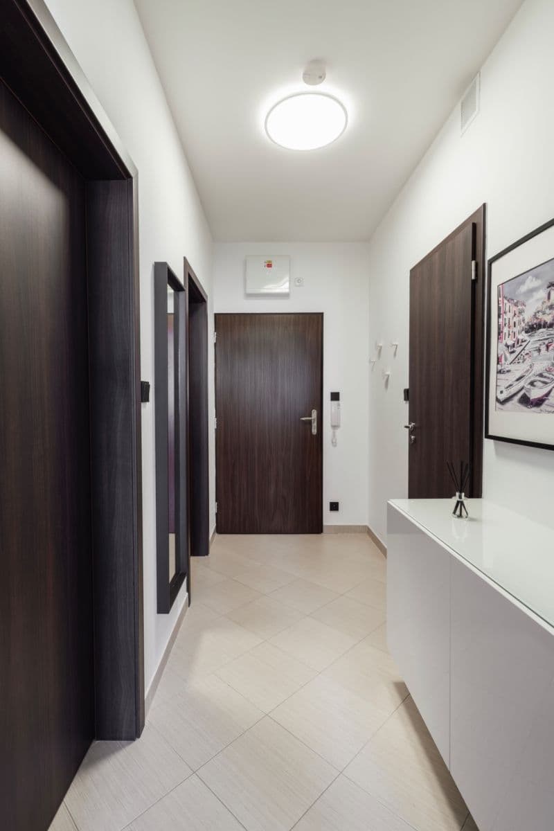 1 bedroom with open-plan kitchen flat for sale, 56 m², Makedonská, Prague, Prague 1 bedroom with open-plan kitchen flat for sale, 56 m², Makedonská, Prague, Prague