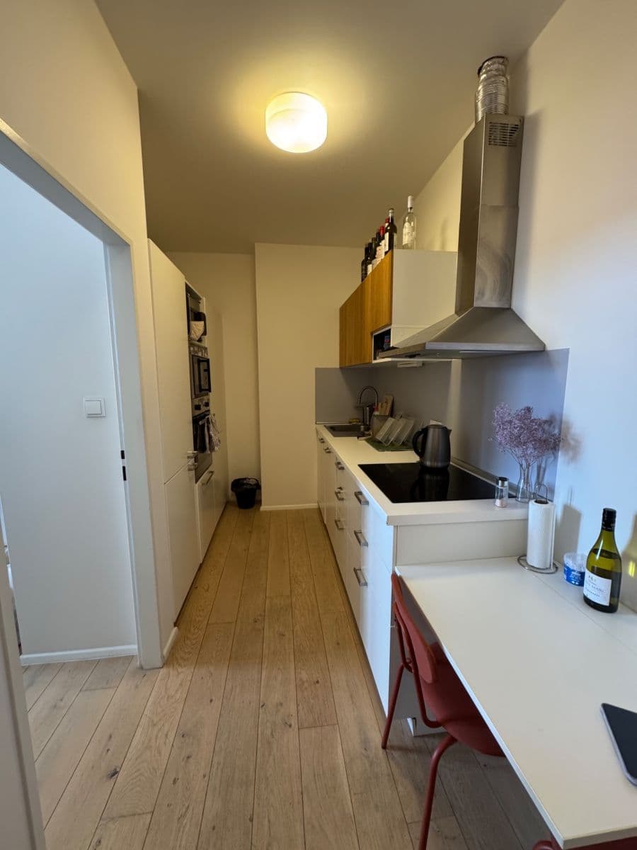 1 bedroom with open-plan kitchen flat to rent, 43 m², Lucemburská, Prague, Prague 1 bedroom with open-plan kitchen flat to rent, 43 m², Lucemburská, Prague, Prague