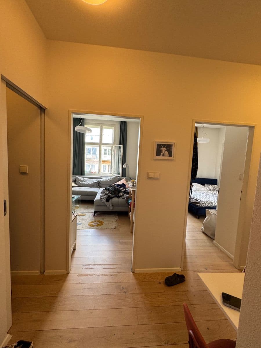 1 bedroom with open-plan kitchen flat to rent, 43 m², Lucemburská, Prague, Prague 1 bedroom with open-plan kitchen flat to rent, 43 m², Lucemburská, Prague, Prague