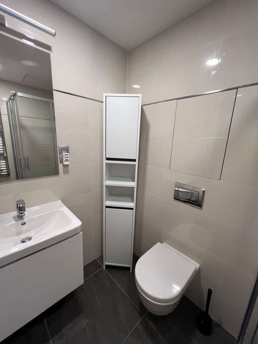 1 bedroom with open-plan kitchen flat to rent, 63 m², Kurta Konráda, Prague, Prague 1 bedroom with open-plan kitchen flat to rent, 63 m², Kurta Konráda, Prague, Prague
