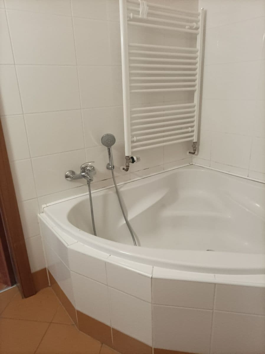 1 bedroom with open-plan kitchen flat to rent, 61 m², Raichlova, Prague, Prague 1 bedroom with open-plan kitchen flat to rent, 61 m², Raichlova, Prague, Prague