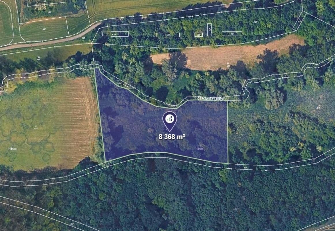 plot for sale, 8,368 m², Číčovice, Středočeský Region plot for sale, 8,368 m², Číčovice, Středočeský Region