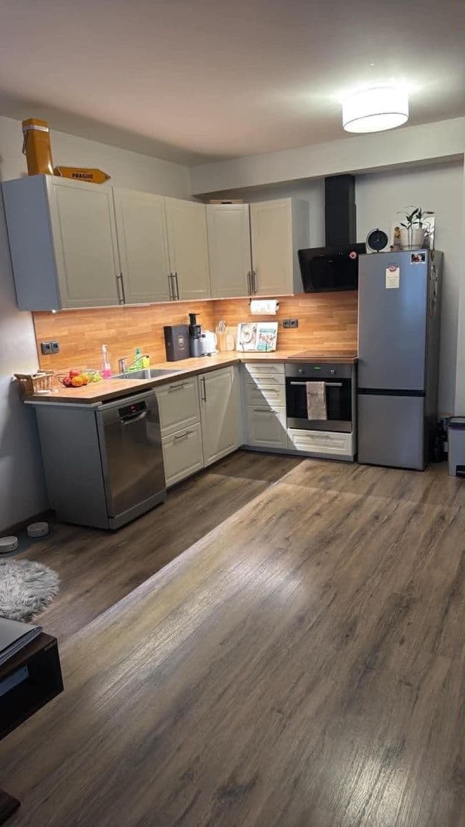 1 bedroom with open-plan kitchen flat for sale, 56 m², Honzíkova, Prague, Prague 1 bedroom with open-plan kitchen flat for sale, 56 m², Honzíkova, Prague, Prague