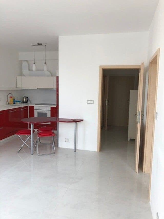 1 bedroom with open-plan kitchen flat to rent, 56 m², Karlovarská, Prague, Prague 1 bedroom with open-plan kitchen flat to rent, 56 m², Karlovarská, Prague, Prague