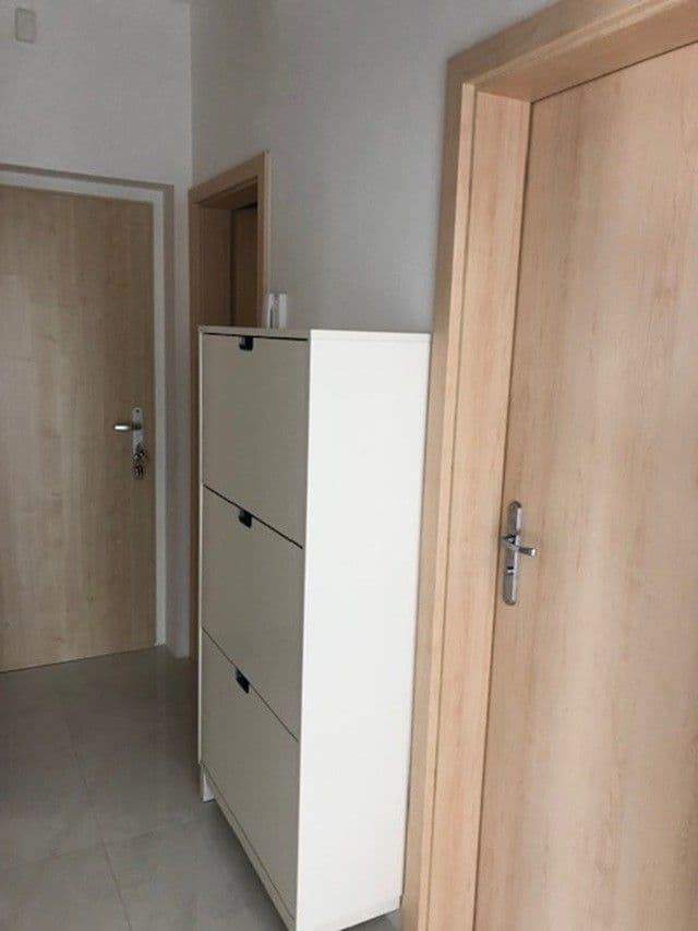 1 bedroom with open-plan kitchen flat to rent, 56 m², Karlovarská, Prague, Prague 1 bedroom with open-plan kitchen flat to rent, 56 m², Karlovarská, Prague, Prague