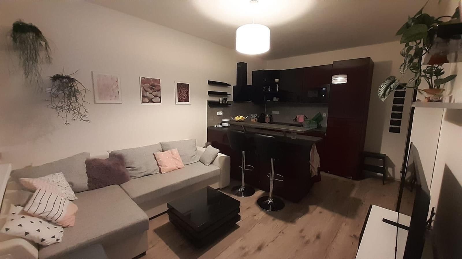 1 bedroom with open-plan kitchen flat to rent, 34 m², Egyptská, Prague, Prague 1 bedroom with open-plan kitchen flat to rent, 34 m², Egyptská, Prague, Prague