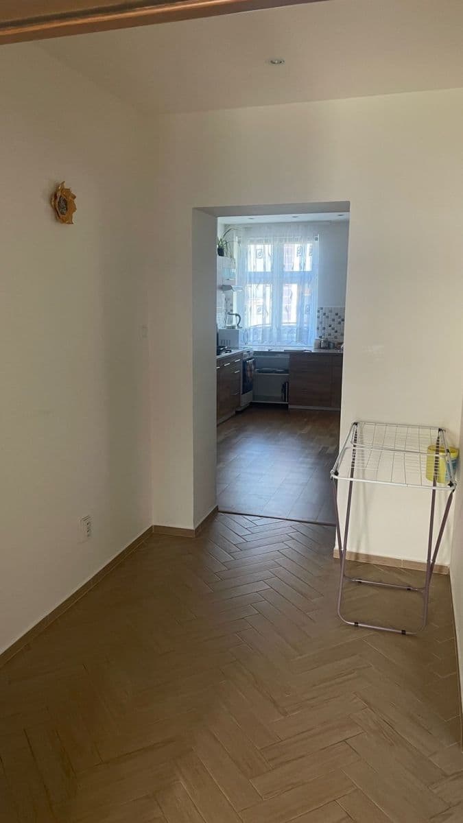 1 bedroom with open-plan kitchen flat to rent, 61 m², Karlovarská, Plzeň, Plzeňský Region 1 bedroom with open-plan kitchen flat to rent, 61 m², Karlovarská, Plzeň, Plzeňský Region