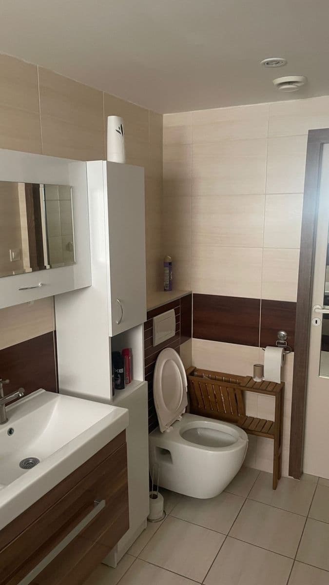 1 bedroom with open-plan kitchen flat to rent, 61 m², Karlovarská, Plzeň, Plzeňský Region 1 bedroom with open-plan kitchen flat to rent, 61 m², Karlovarská, Plzeň, Plzeňský Region