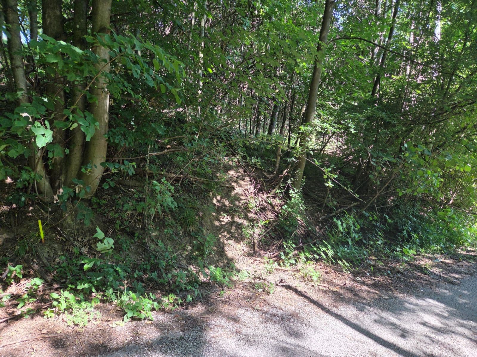 plot for sale, 1,881 m², Brestovec, Trenčiansky Region plot for sale, 1,881 m², Brestovec, Trenčiansky Region