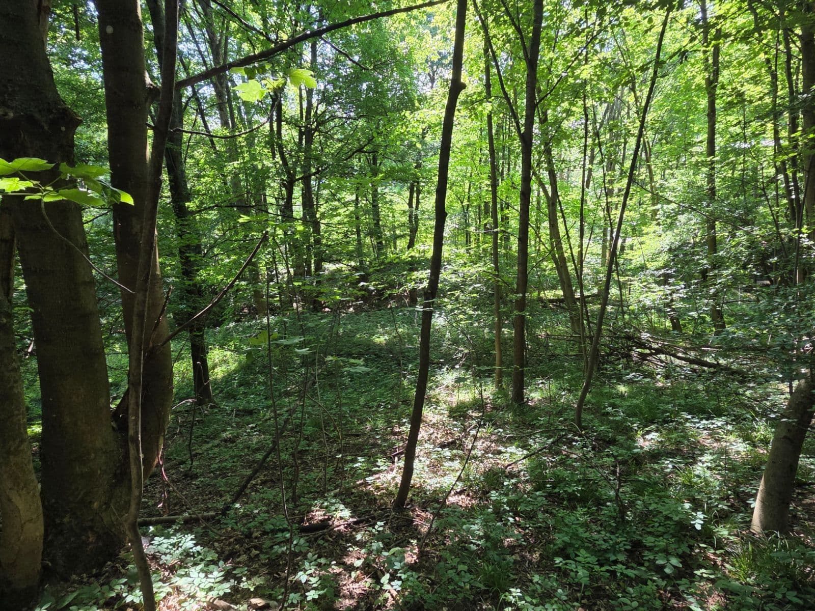 plot for sale, 1,881 m², Brestovec, Trenčiansky Region plot for sale, 1,881 m², Brestovec, Trenčiansky Region