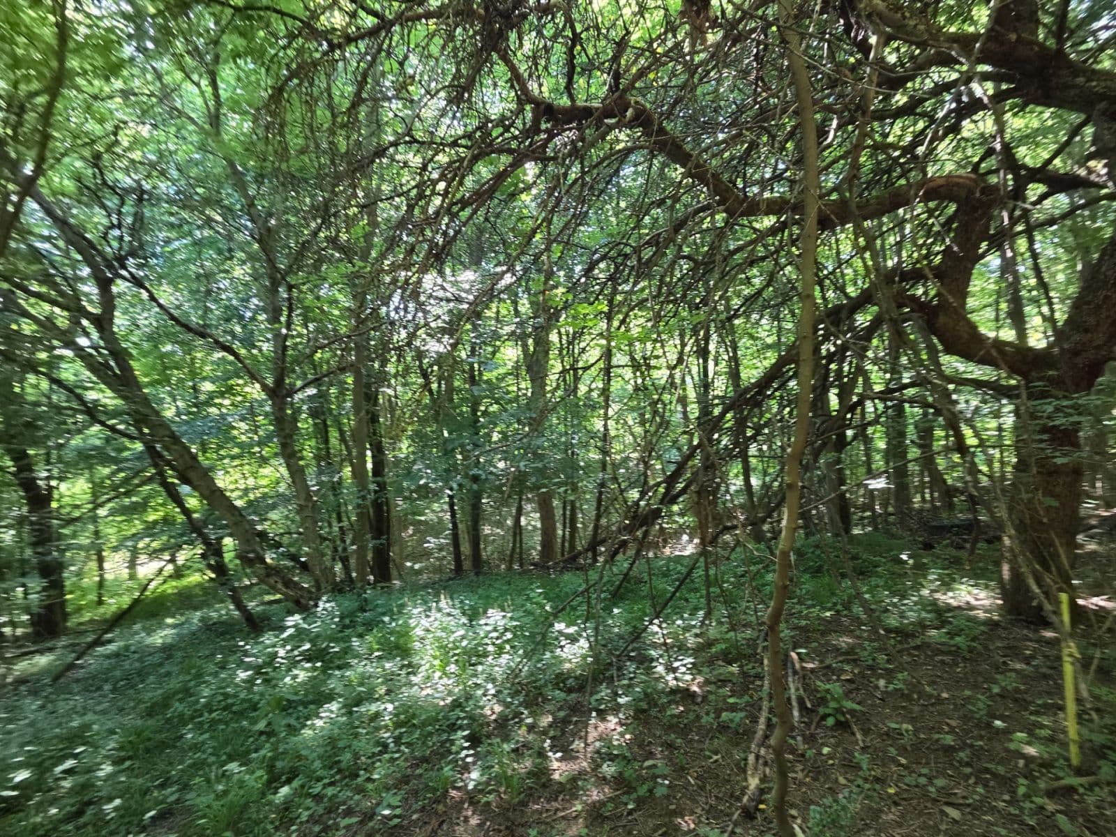 plot for sale, 1,881 m², Brestovec, Trenčiansky Region plot for sale, 1,881 m², Brestovec, Trenčiansky Region