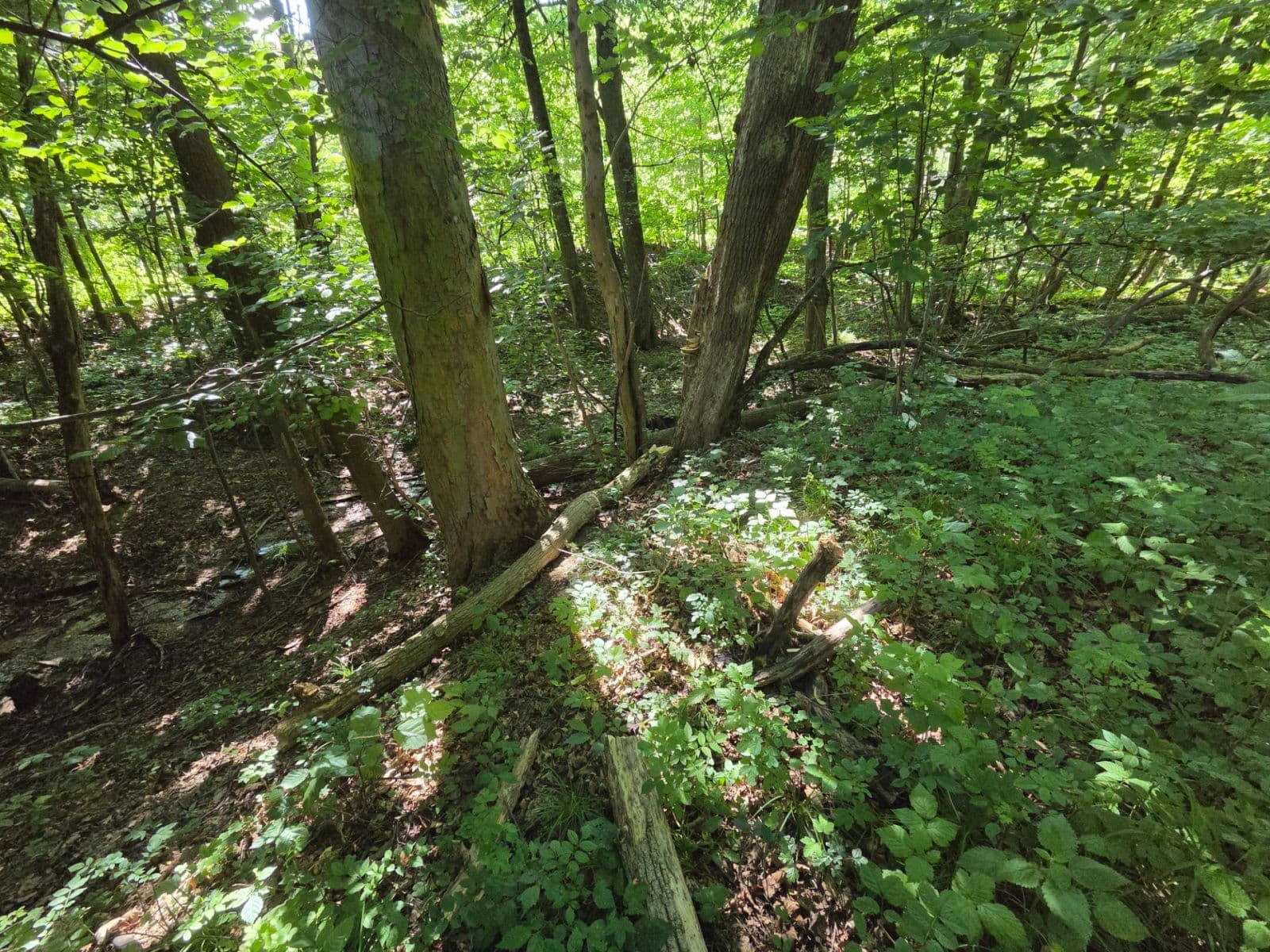 plot for sale, 1,881 m², Brestovec, Trenčiansky Region plot for sale, 1,881 m², Brestovec, Trenčiansky Region