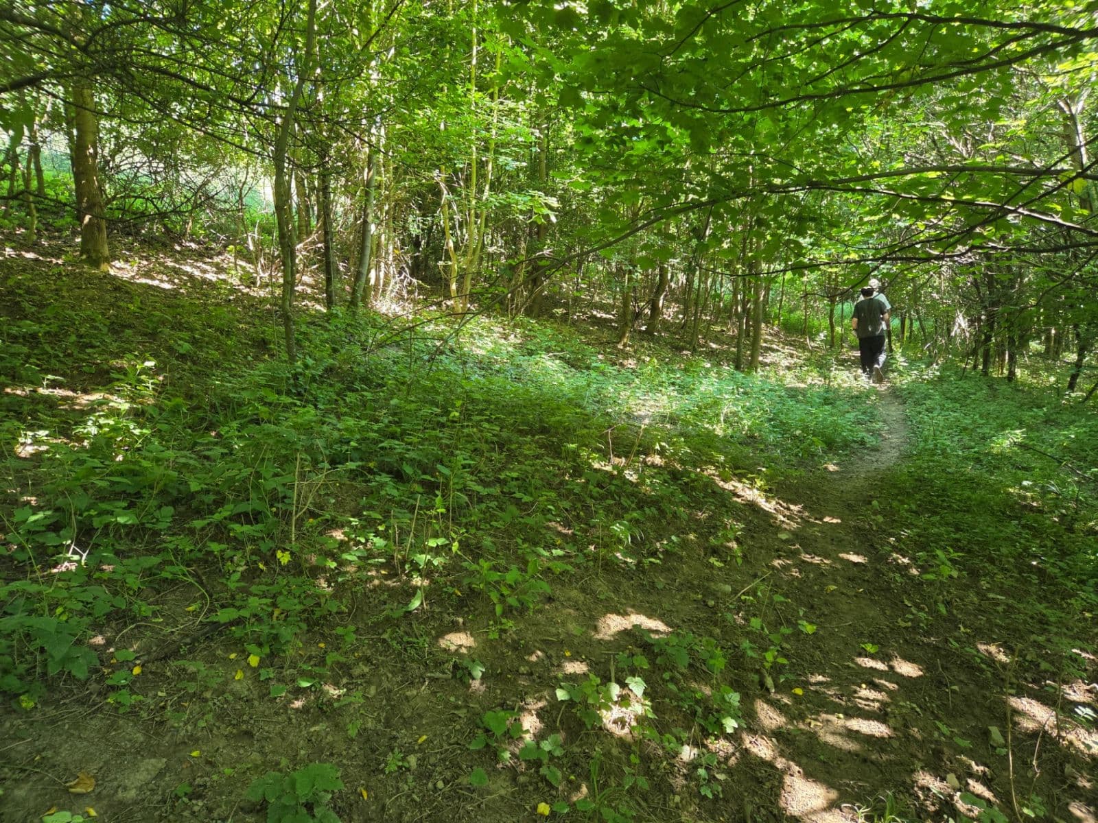 plot for sale, 1,881 m², Brestovec, Trenčiansky Region plot for sale, 1,881 m², Brestovec, Trenčiansky Region