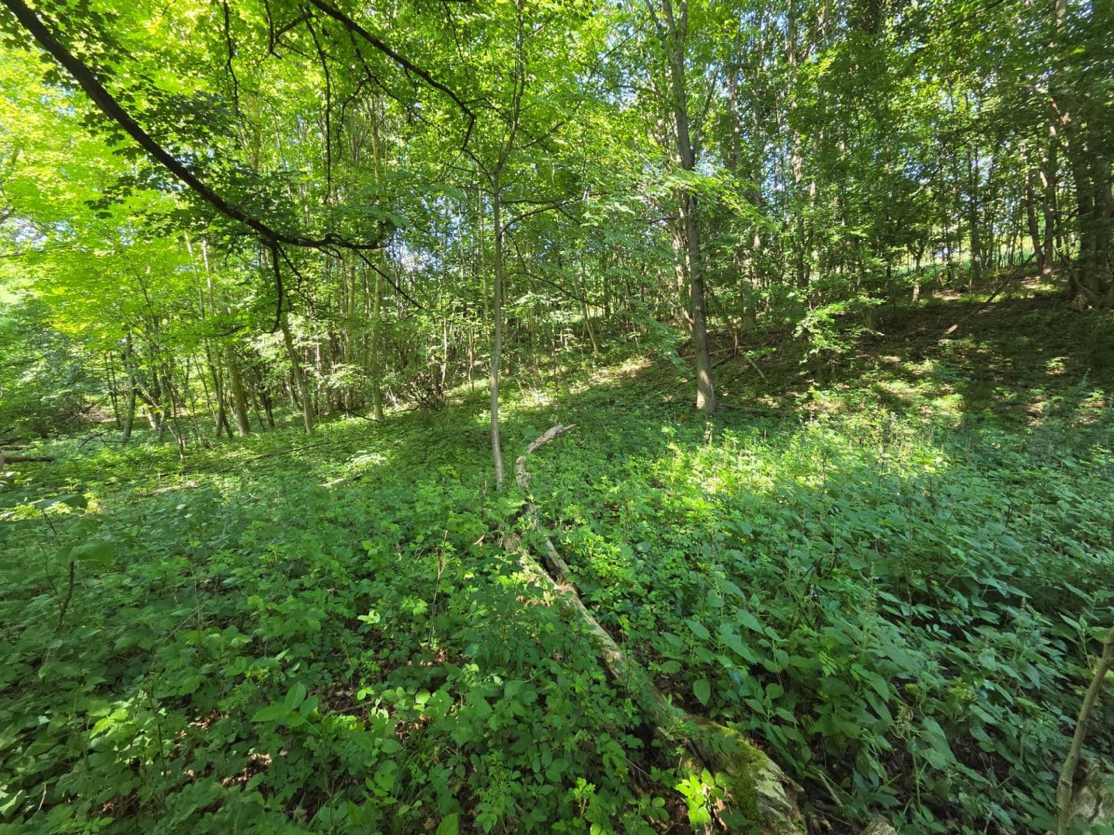 plot for sale, 1,881 m², Brestovec, Trenčiansky Region plot for sale, 1,881 m², Brestovec, Trenčiansky Region