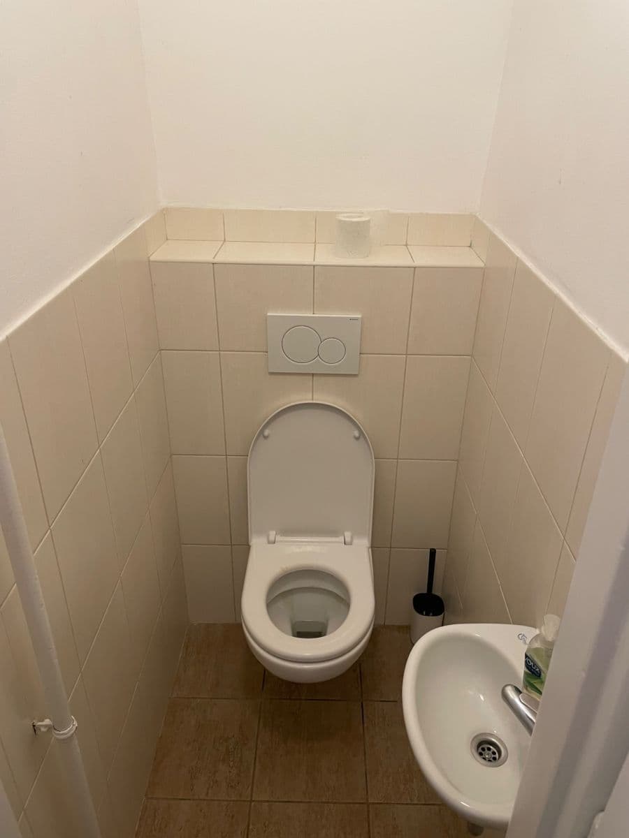 1 bedroom with open-plan kitchen flat to rent, 60 m², Plavecká, Prague, Prague 1 bedroom with open-plan kitchen flat to rent, 60 m², Plavecká, Prague, Prague
