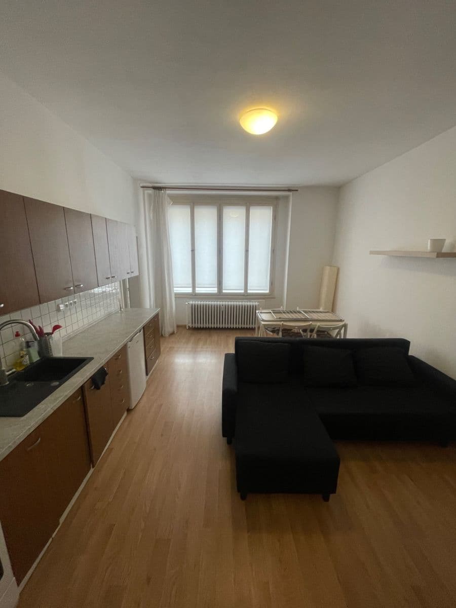 1 bedroom with open-plan kitchen flat to rent, 60 m², Plavecká, Prague, Prague 1 bedroom with open-plan kitchen flat to rent, 60 m², Plavecká, Prague, Prague