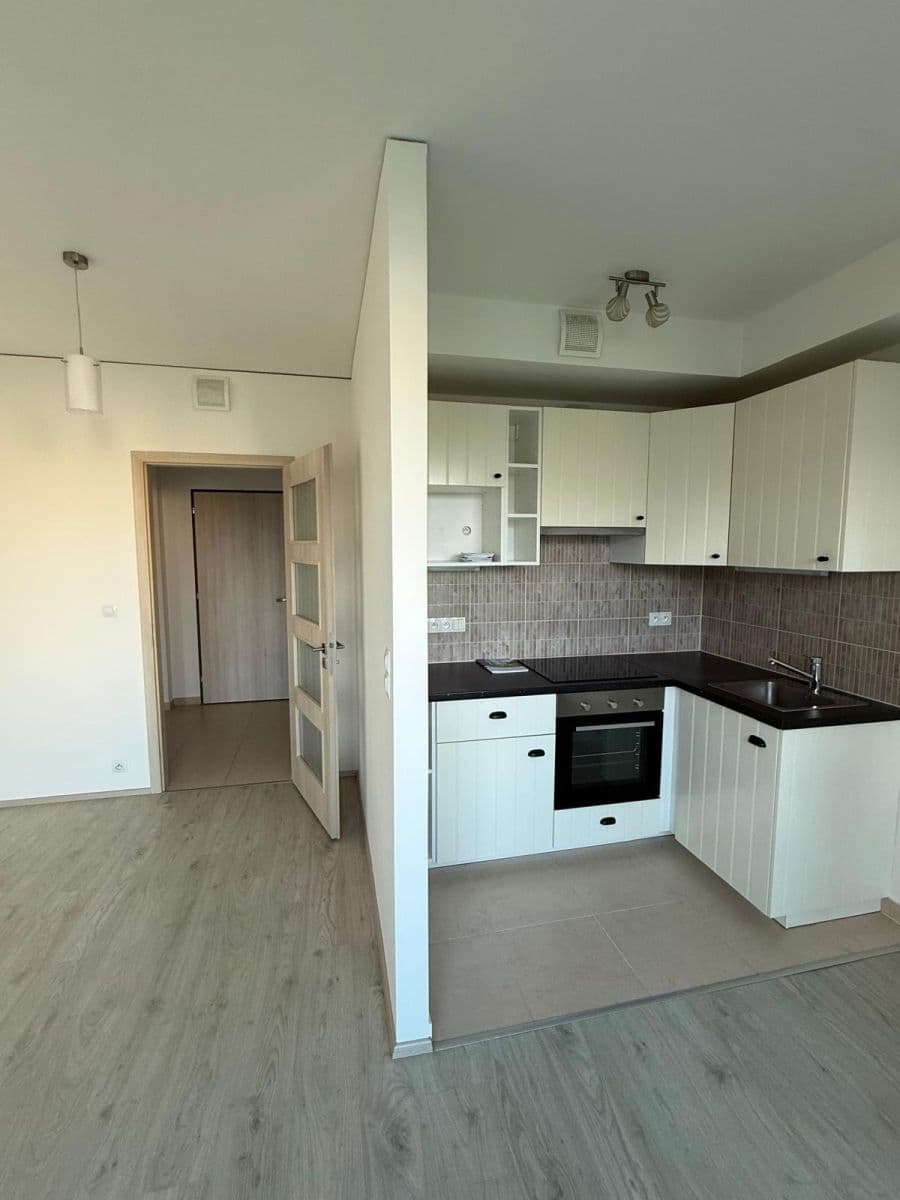 1 bedroom with open-plan kitchen flat to rent, 42 m², Chlebovická, Prague, Prague 1 bedroom with open-plan kitchen flat to rent, 42 m², Chlebovická, Prague, Prague