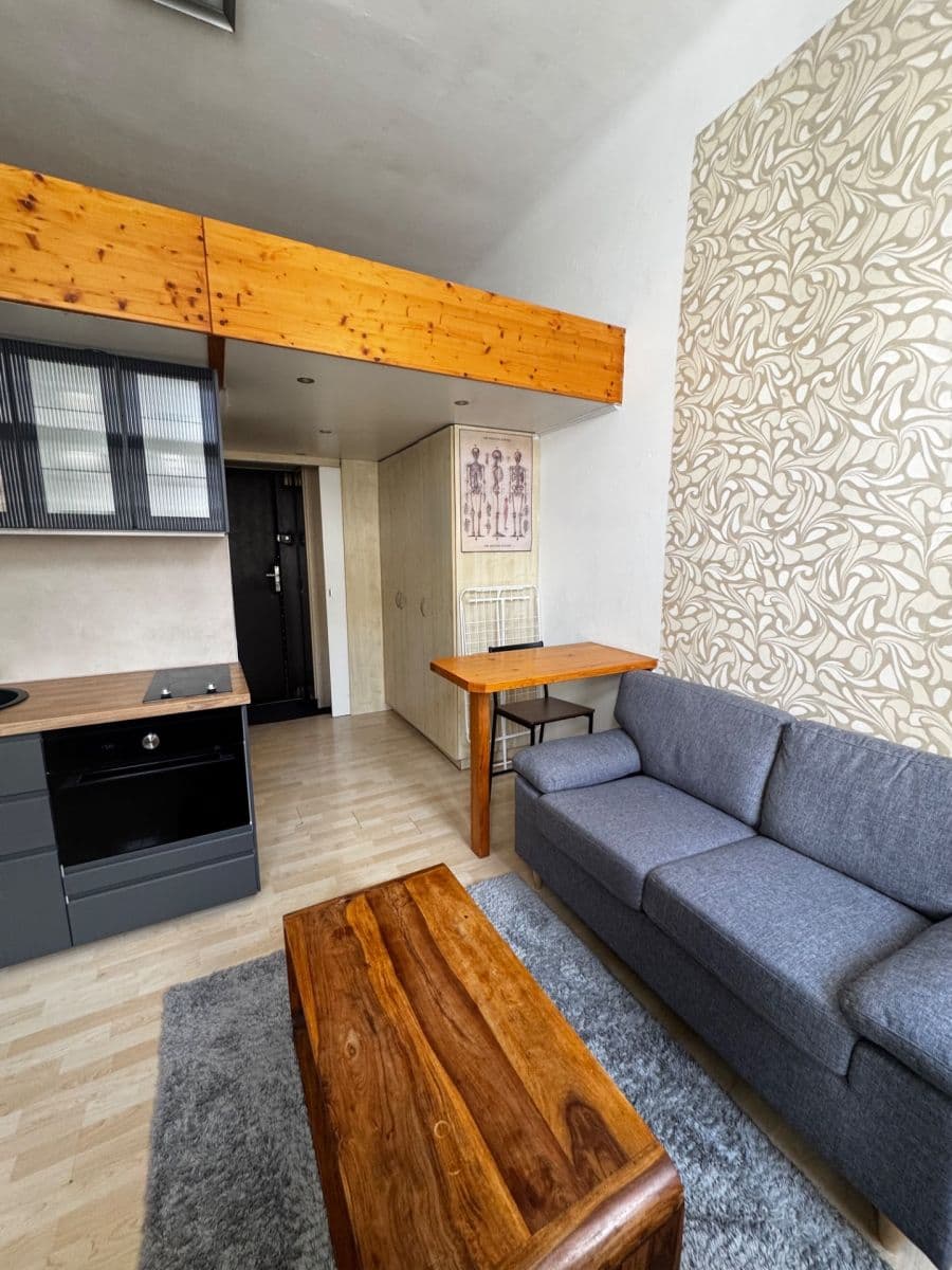 Studio flat to rent, 19 m², Na Žertvách, Prague, Prague Studio flat to rent, 19 m², Na Žertvách, Prague, Prague