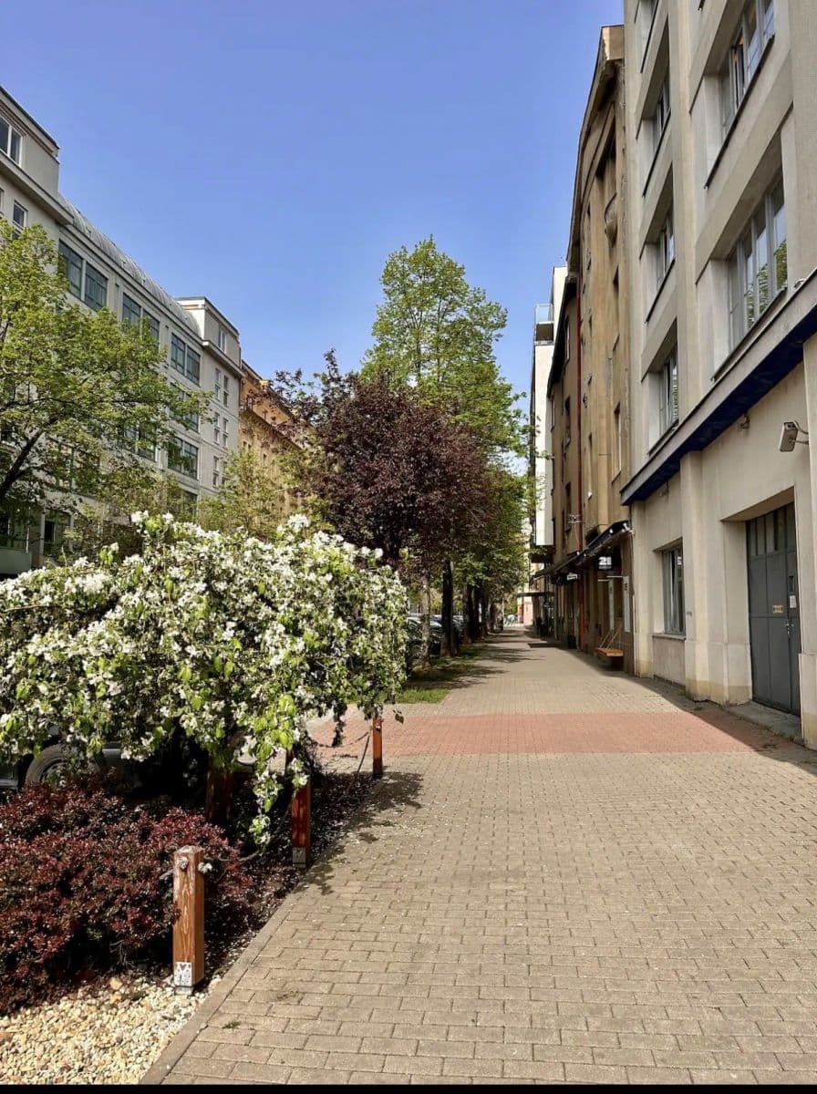 flat to rent, 26 m², Na Maninách, Prague, Prague flat to rent, 26 m², Na Maninách, Prague, Prague