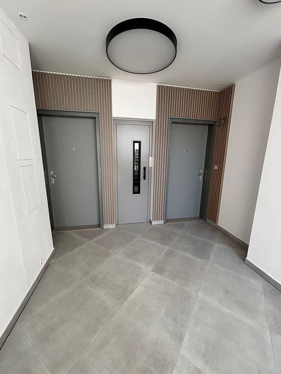 1 bedroom with open-plan kitchen flat to rent, 71 m², Pod Drinopolem, Prague, Prague 1 bedroom with open-plan kitchen flat to rent, 71 m², Pod Drinopolem, Prague, Prague
