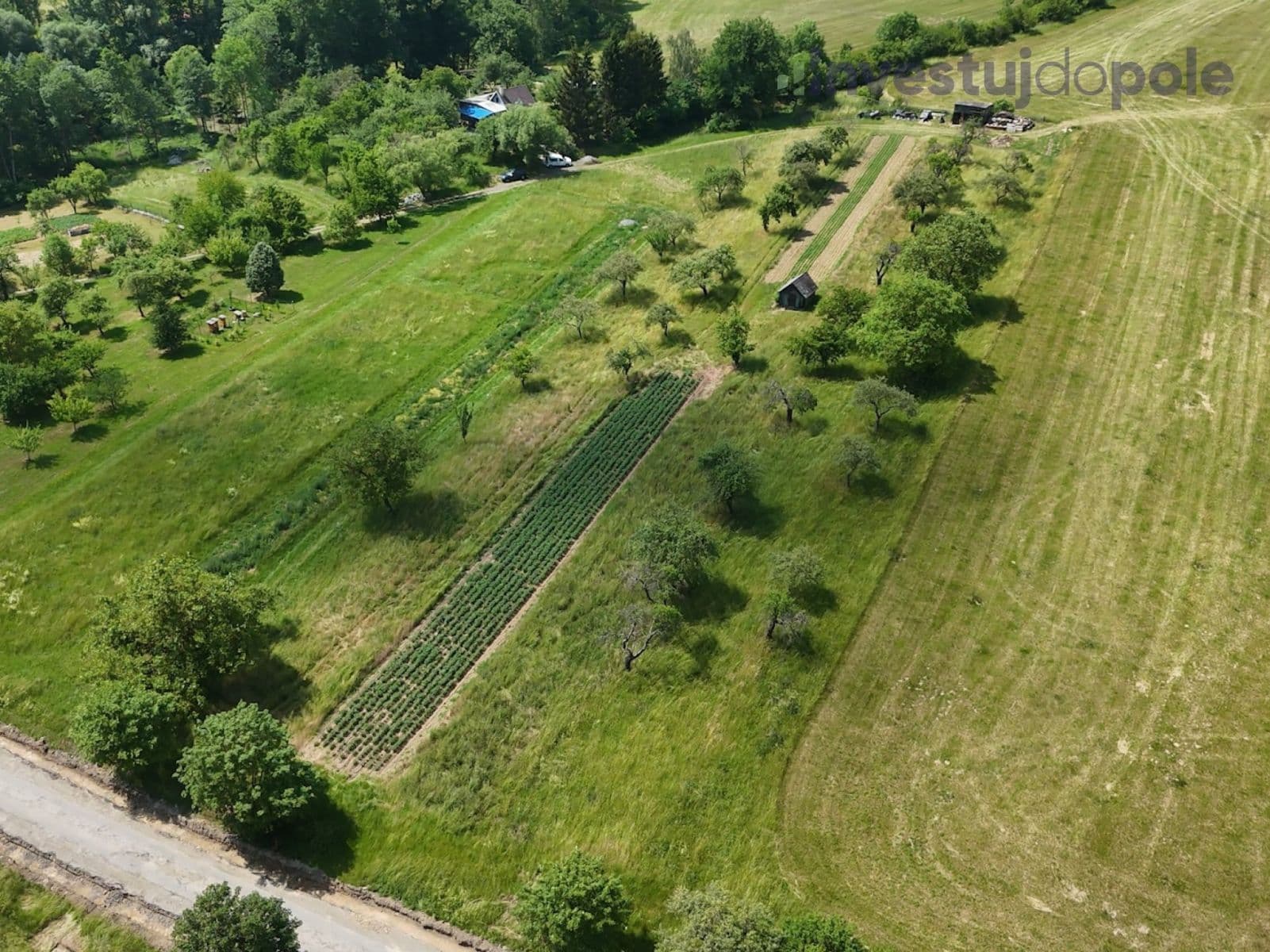 plot for sale, 4,404 m², Konice, Olomoucký Region plot for sale, 4,404 m², Konice, Olomoucký Region