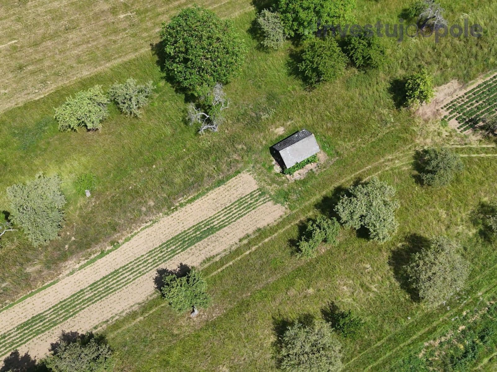 plot for sale, 4,404 m², Konice, Olomoucký Region plot for sale, 4,404 m², Konice, Olomoucký Region